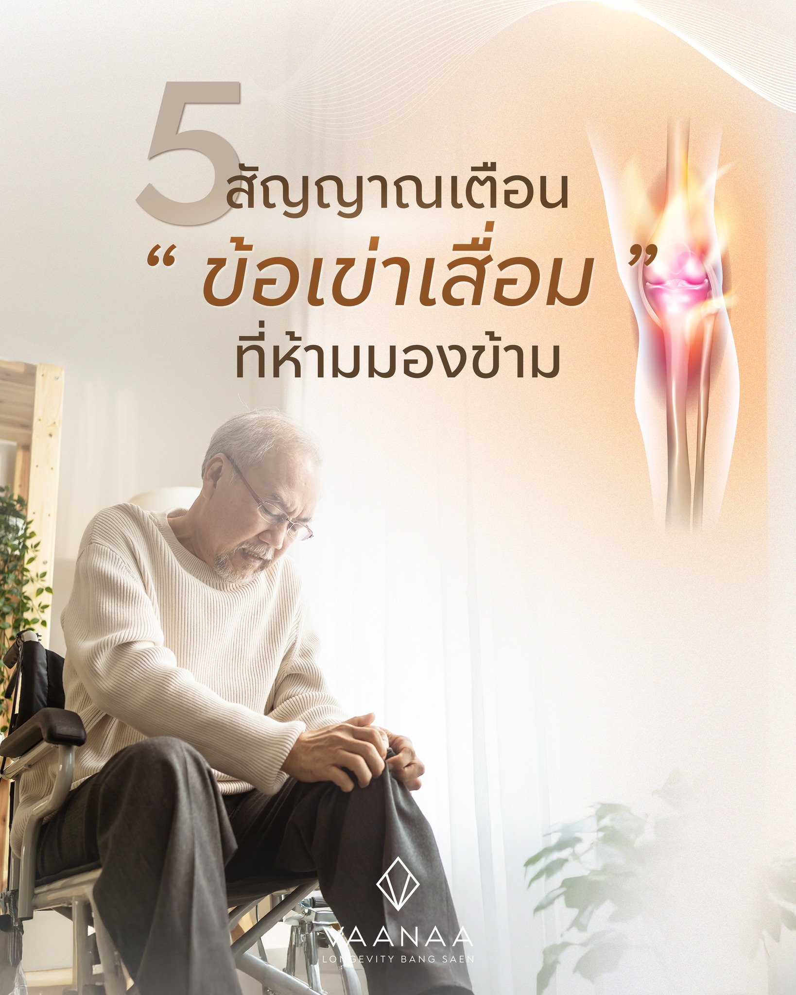 Five warning signs of knee osteoarthritis (ข้อเข่าเสื่อม) not to ignore — VAANAA Longevity Bang Saen