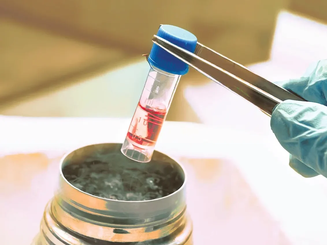 Cryovial of stem cells being lowered into a liquid nitrogen storage tank