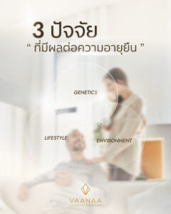 Three factors that influence longevity: genetics, lifestyle and environment — VAANAA Longevity Bang Saen