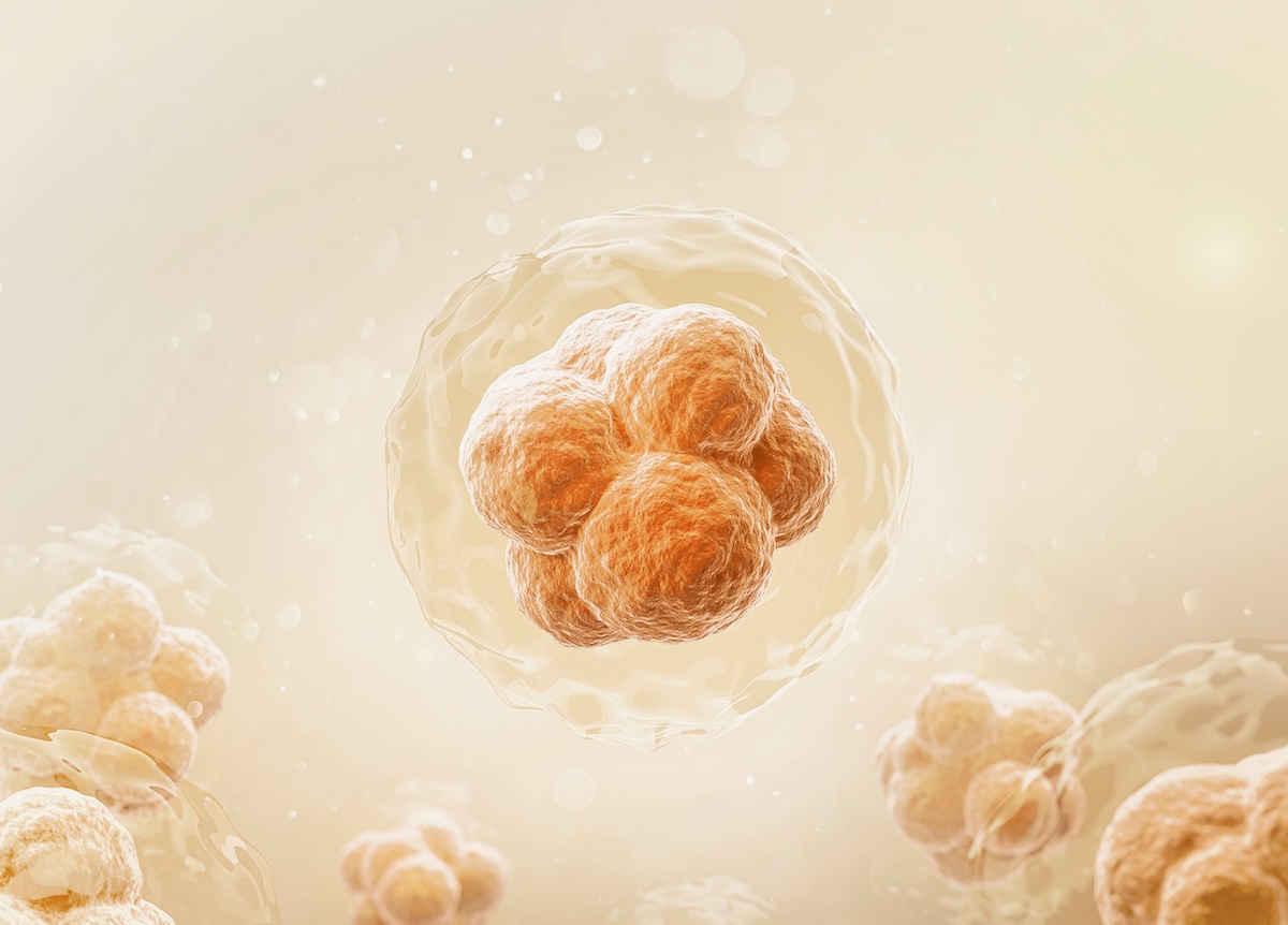 Three-dimensional illustration of a cell cluster inside its membrane