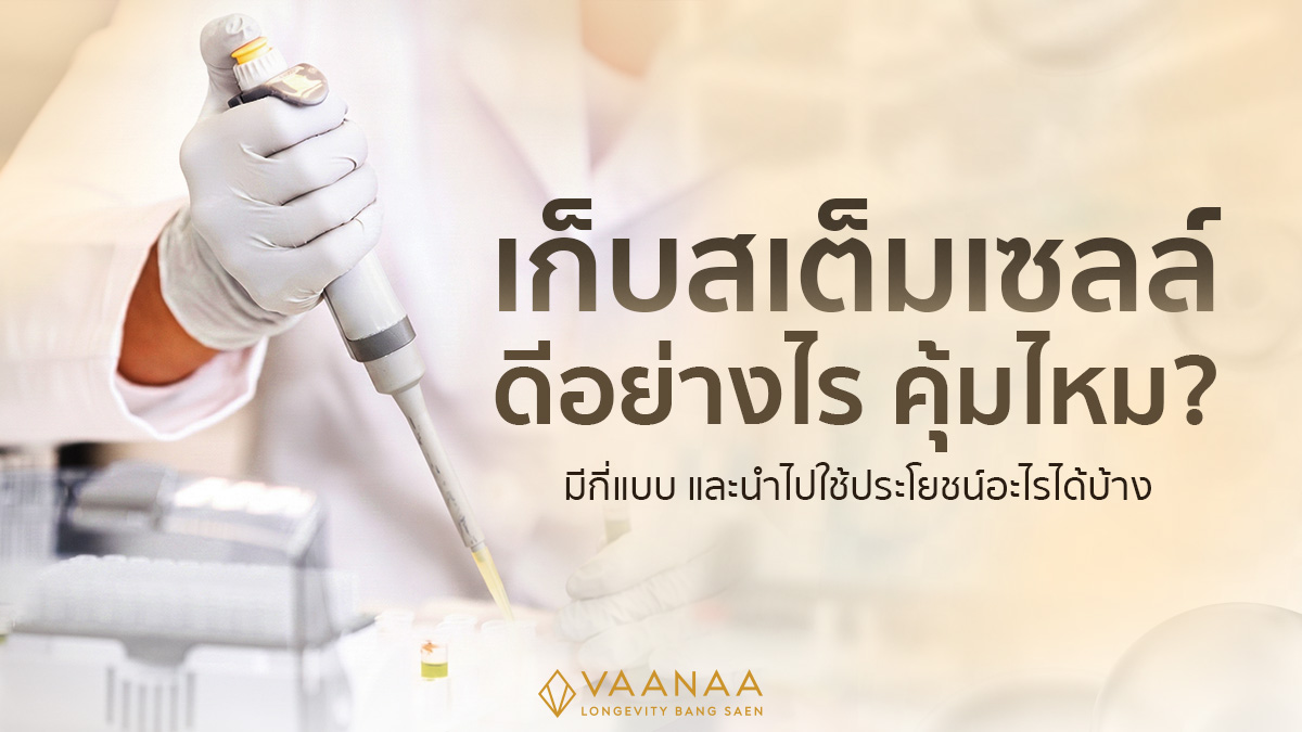 เก็บสเต็มเซลล์