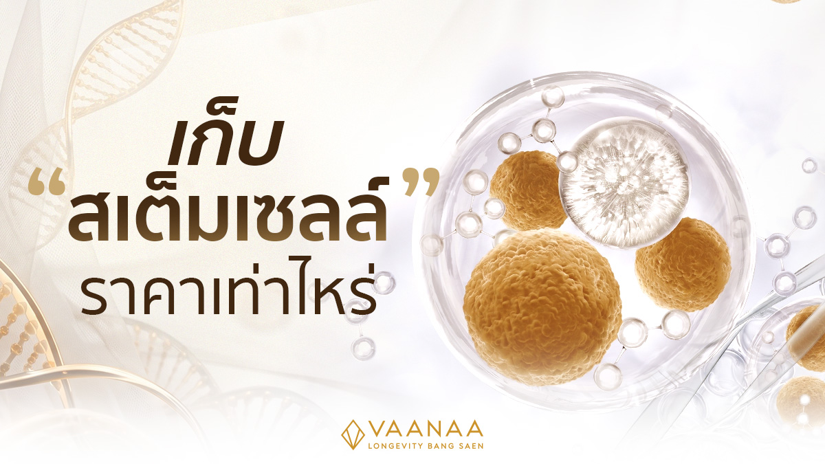 เก็บสเต็มเซลล์ ราคา