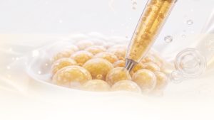 เก็บ stem cell จากไขมัน