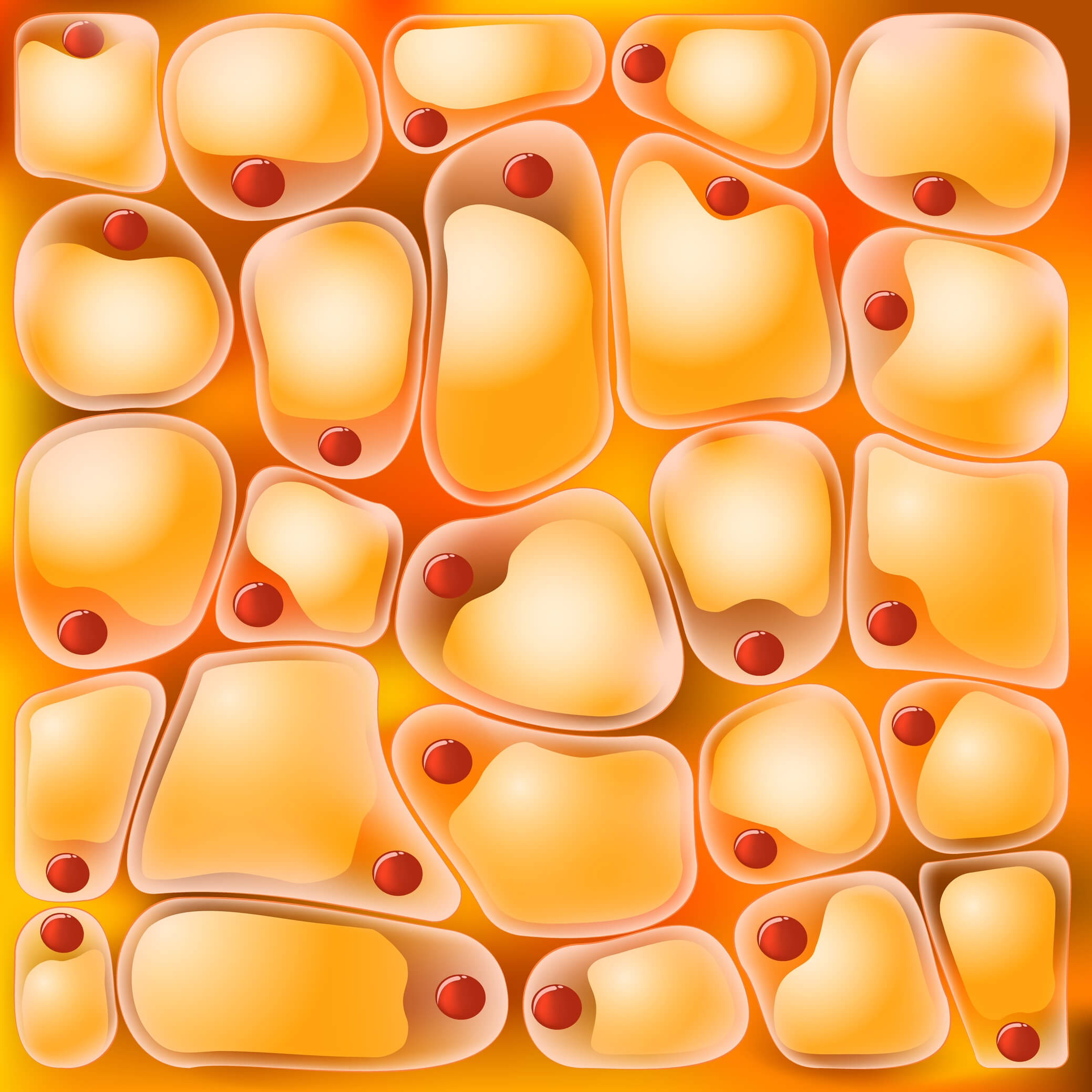adipose stem cell