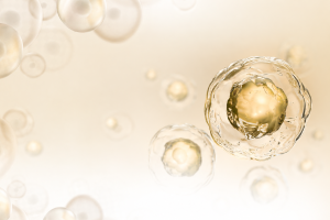Stem Cell in Thailand