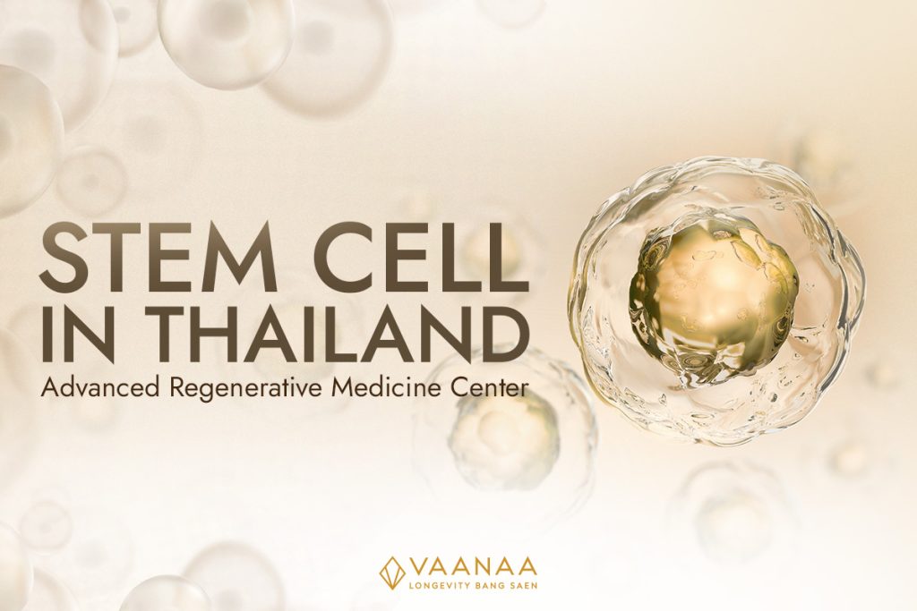 Stem Cell in Thailand